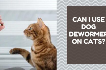 Can I Use Dog Dewormer on Cats