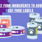 Cat Food Ingredients to Avoid: Cat Food Labels