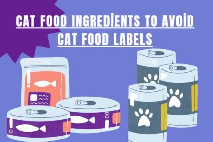 Cat Food Ingredients to Avoid: Cat Food Labels