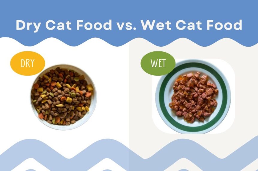 Dry Cat Food vs. Wet Cat Food Which Is Better