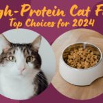 High-Protein Cat Food 2024