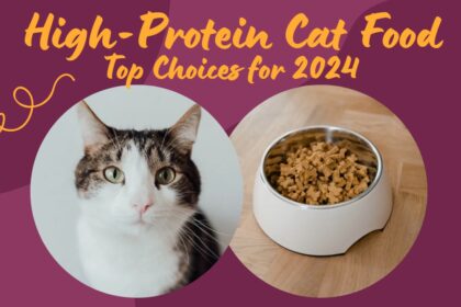 High-Protein Cat Food 2024