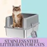 Best Stainless Steel Litter Box for Cats