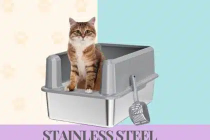 Best Stainless Steel Litter Box for Cats