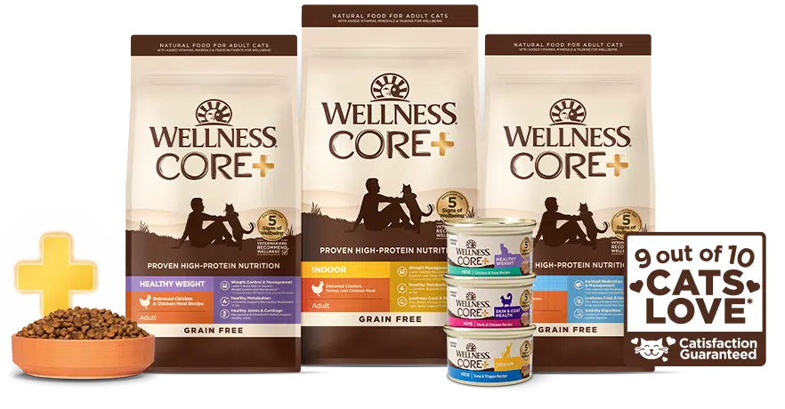 Wellness CORE