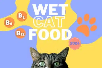 Wet Cat Food Brands