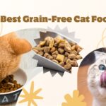 Best Grain-Free Cat Food