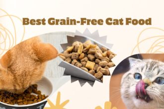 Best Grain-Free Cat Food