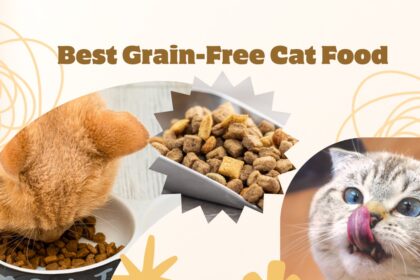 Best Grain-Free Cat Food