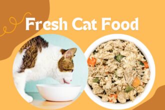 Fresh Cat Food