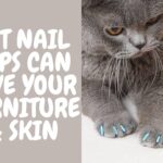 How Cat Nail Caps Can Save Your Furniture & Skin