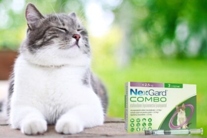 Nexgard Combo Flea Prevention for Cats