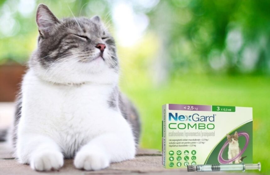 Nexgard Combo Flea Prevention for Cats