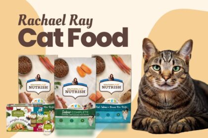 Rachael Ray cat food