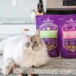 Stella & Chewy Cat Food