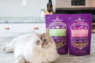 Stella & Chewy Cat Food