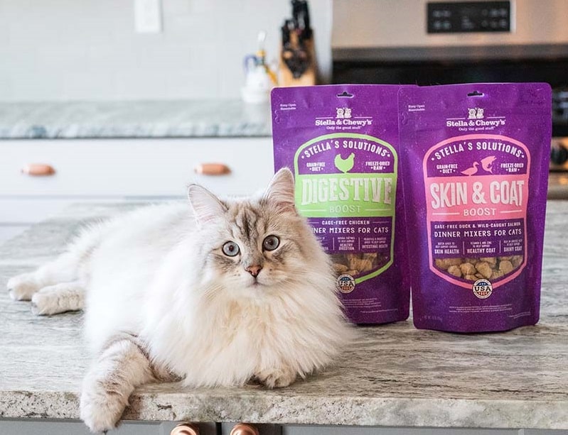 Stella & Chewy Cat Food Review CatsJoys