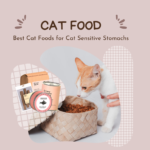 Best Cat Foods for cats with Sensitive Stomachs