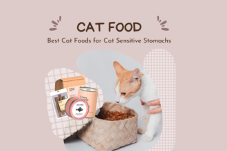 Best Cat Foods for cats with Sensitive Stomachs