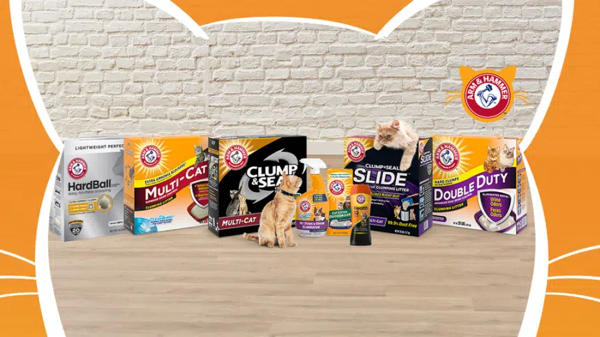 Arm & Hammer Cat Litter