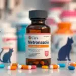 metronidazole for cats