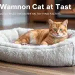 Self Warming Cat Bed Self Heating Cat Mat Thermal Pet Pad