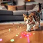 TBTeek Cat ToysDot Chase Light Toy for Cats laser