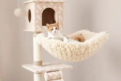 YUNIQUE Cat Tree with Cat Condo and Big Hammock