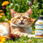 bravecto plus for cats