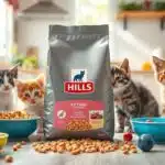 hills kitten food